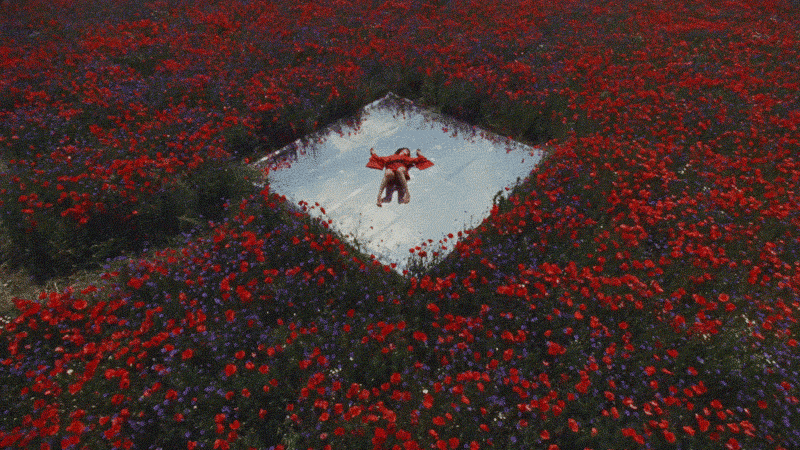 Annegret von Feiertag